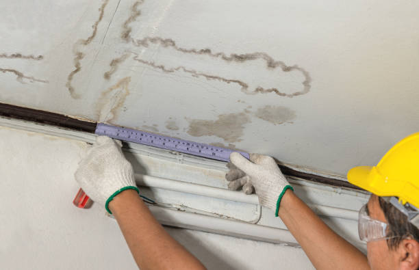Affordable Ceiling Water Damage Repair solutions in Paulding, OH